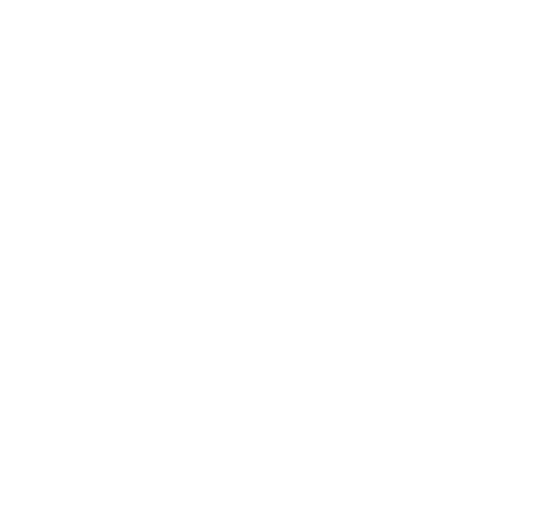 VKR Software